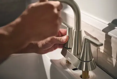 Professional Moen Faucet