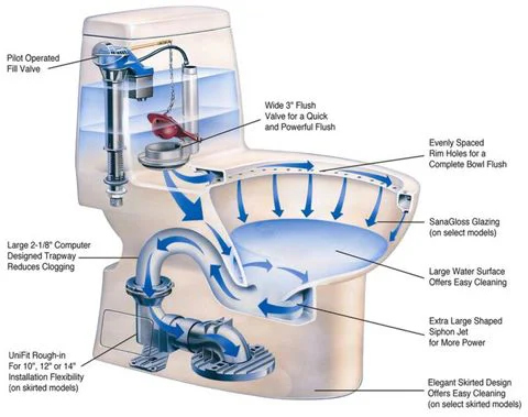 Here’s what actually happens when you flush
